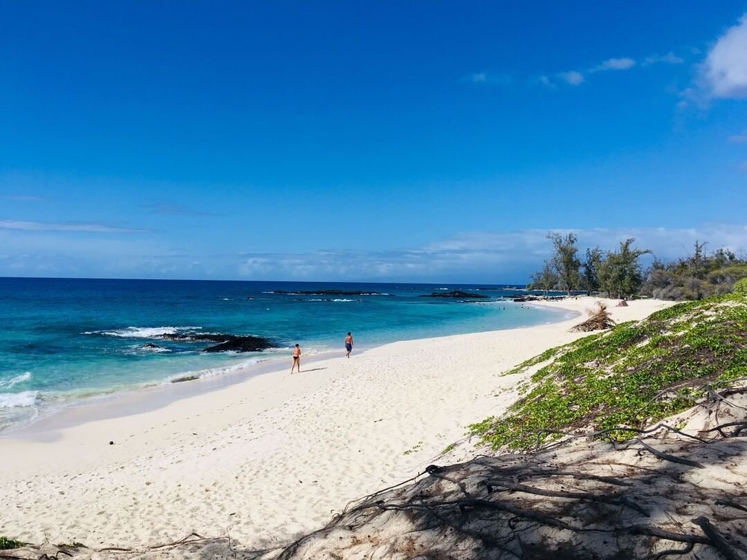 Here you can swim, snorkel or just lounge the hours a. Travel To Hawaii During Covid Updated Sept 13 2021 My Hawaii Hostel