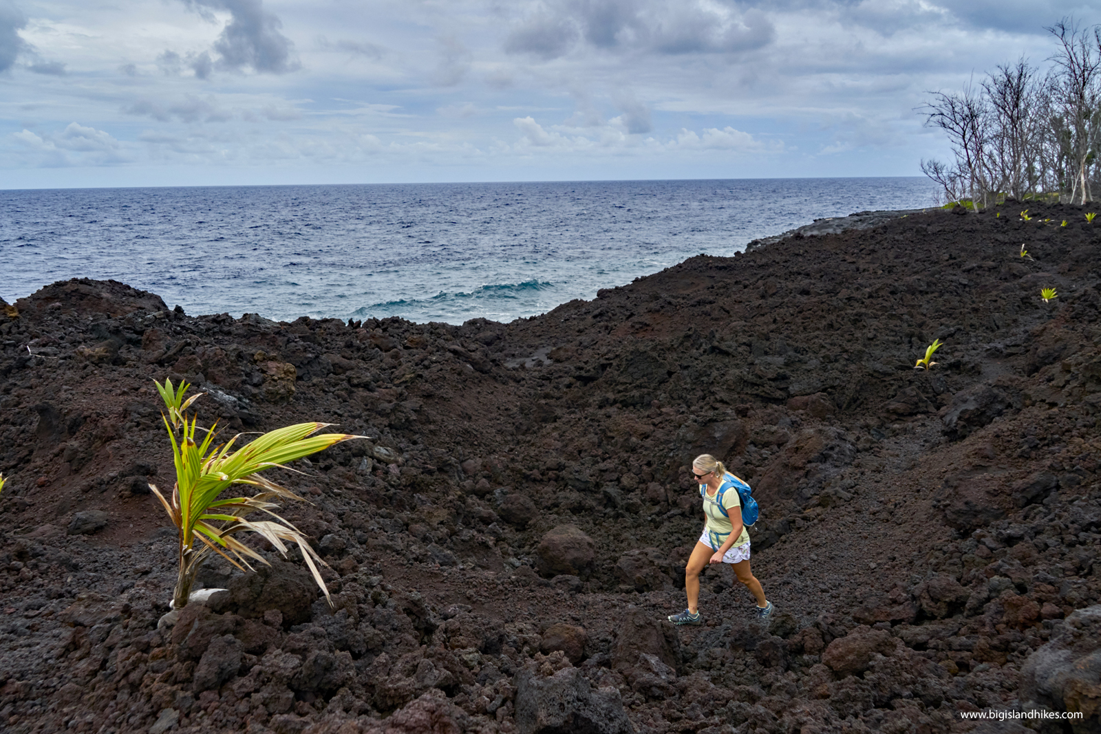 Photo Lava continues to flow from the west vent in the crater at the summit of. 2018 Lava Flows Hike Big Island Hikes