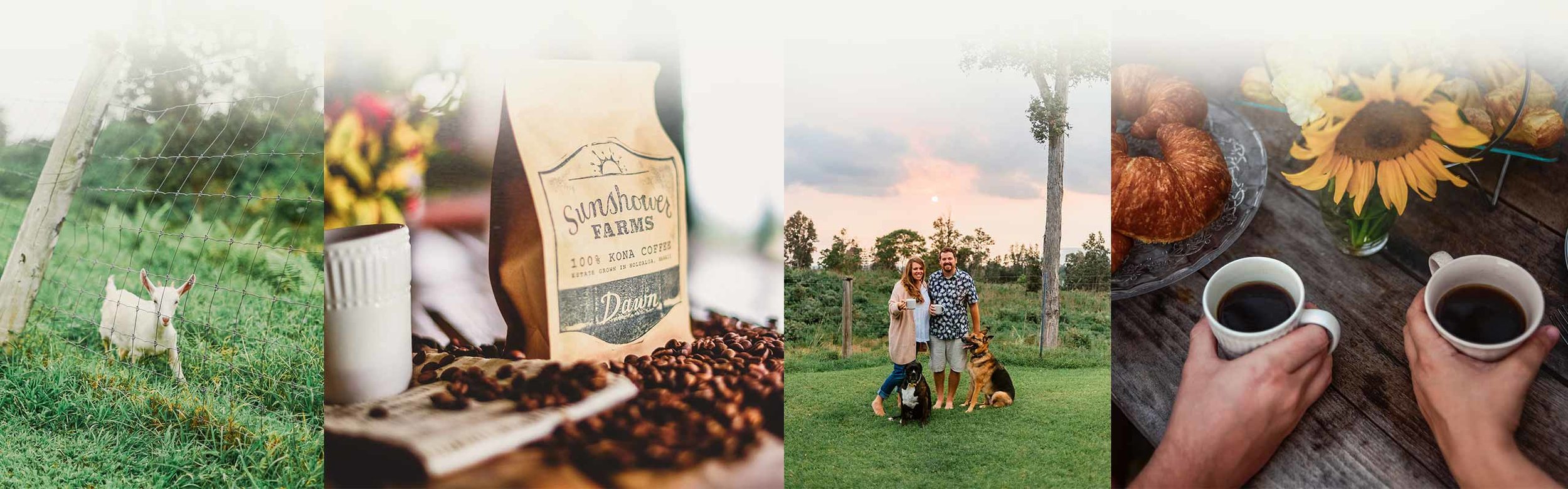 This espresso was reviewed by coffee review and given a 94 point rating. Sunshower Farms Kona Coffee Farm And Event Venue