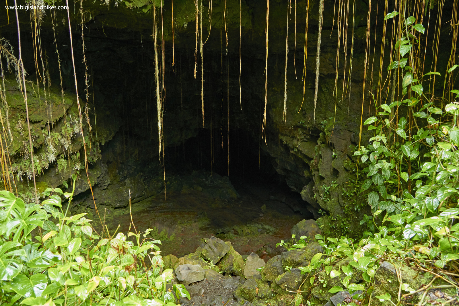 I read about it in a hawaii guide book. Kaumana Caves State Park Big Island Hikes