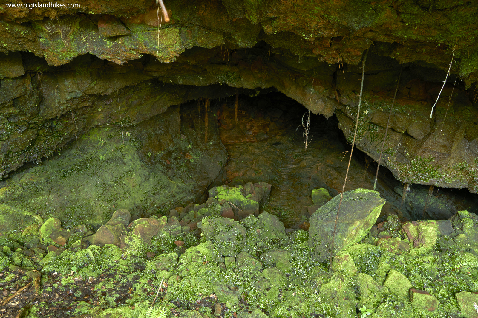 Follow rangers on a journey to places most people never go in stunning 360° video. Hazards Big Island Hikes