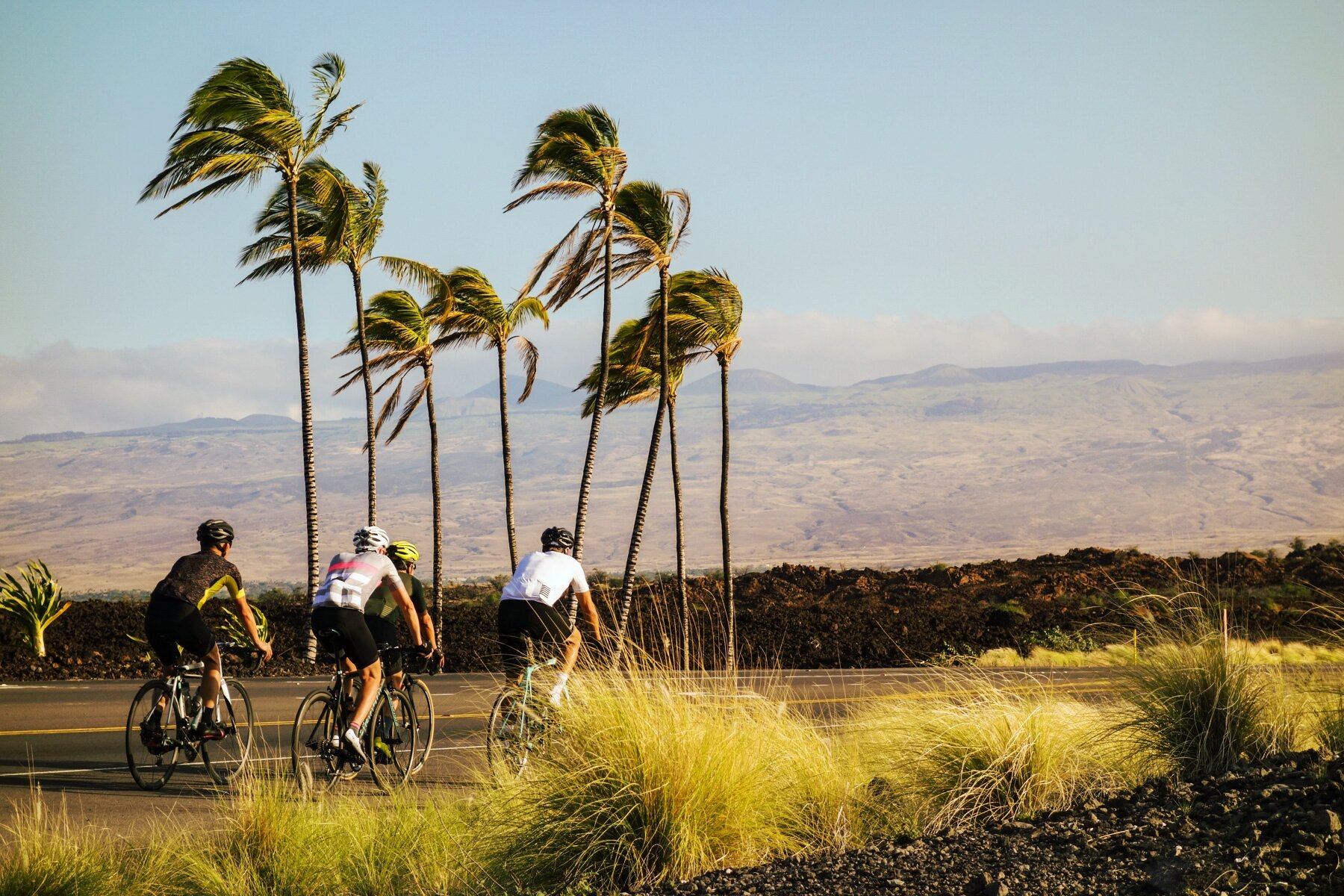 Looking to see some incredible sights from the comfort of a train? Hawaii The Big Island 2019 2020 Studio Velo