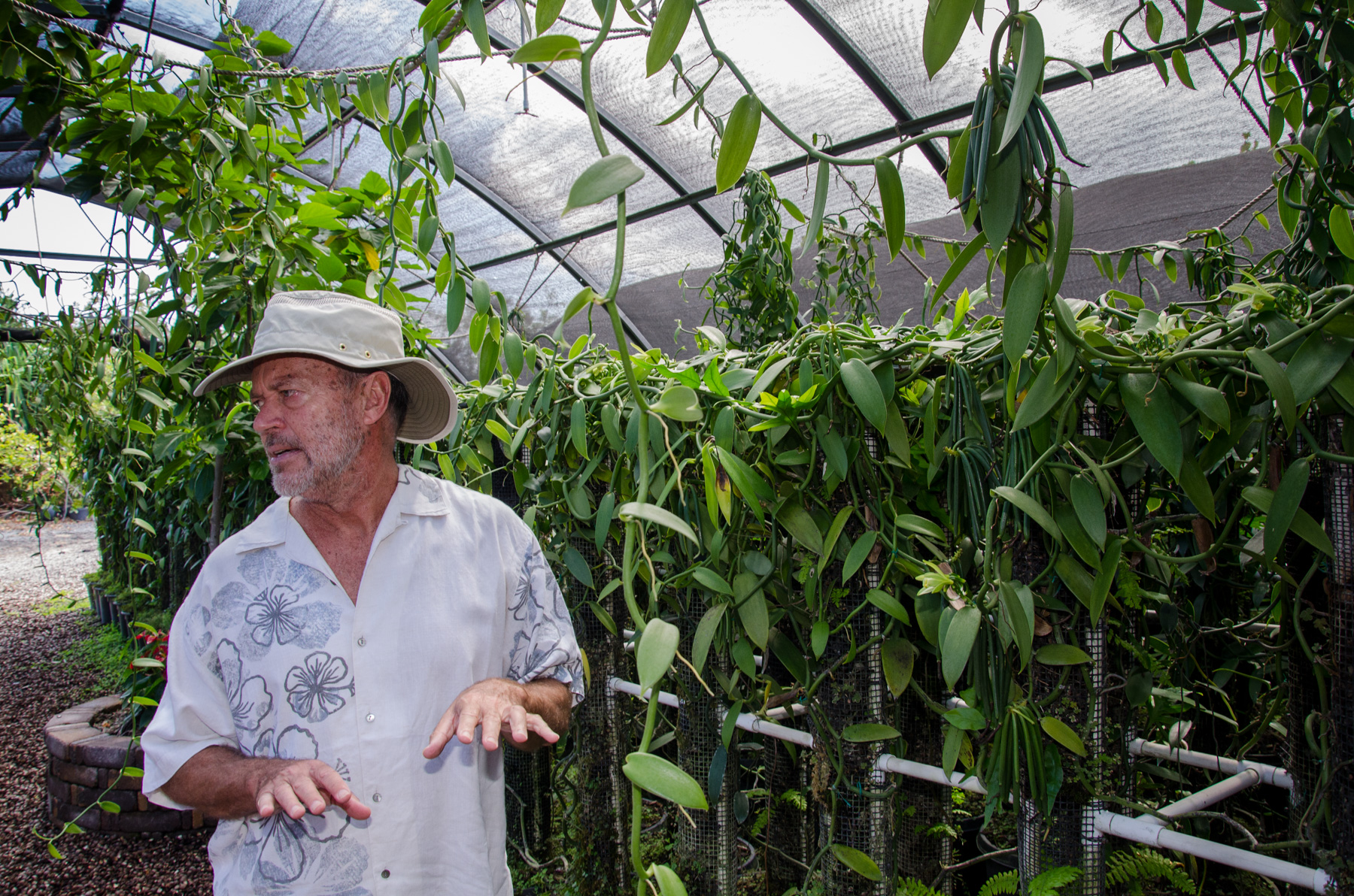 Tour one of hawaii's largest vanilla bean farms on a stunning five acre estate overlooking the kona coast of hawaii. About The Vanillerie The Vanillerie