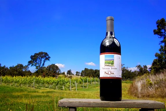 We may receive compensation when. Experience Volcano Volcano Winery