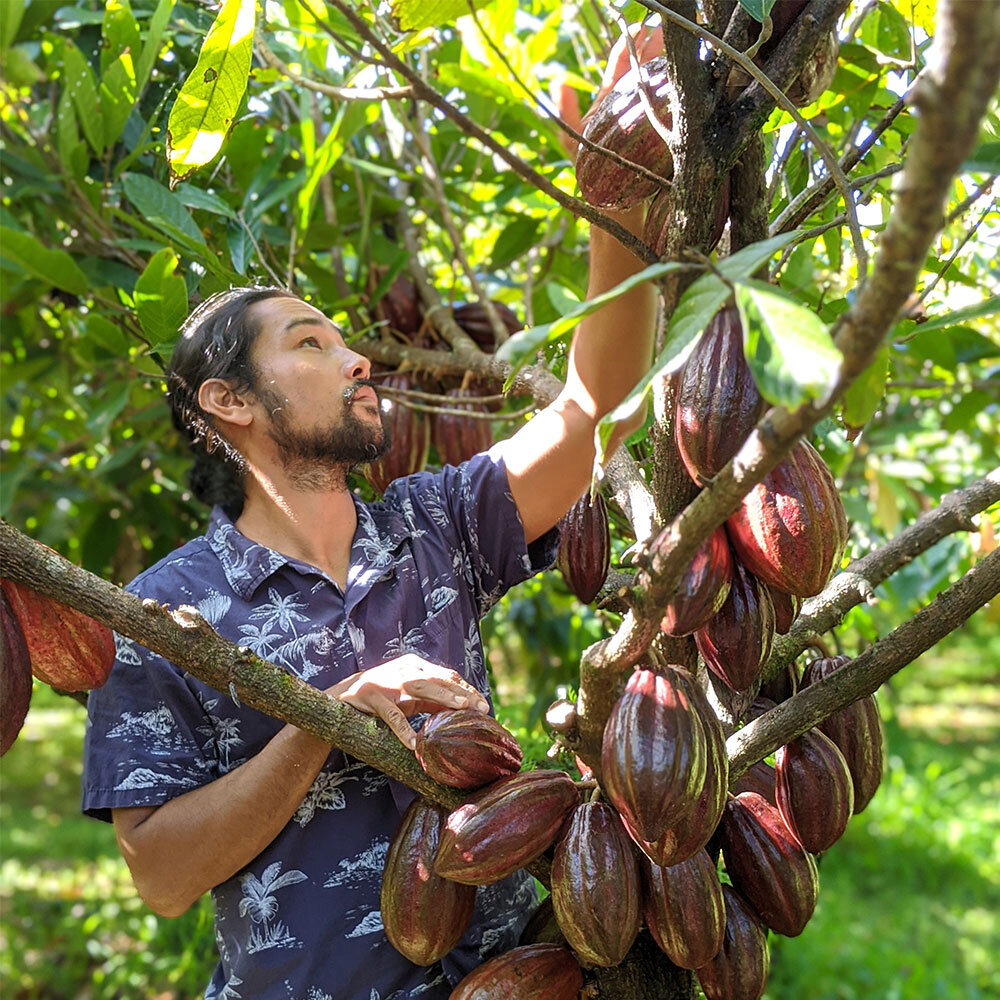 Bust a move to hula grooves during the slack key guitar festival or ukulele festival hawaii. Lavaloha