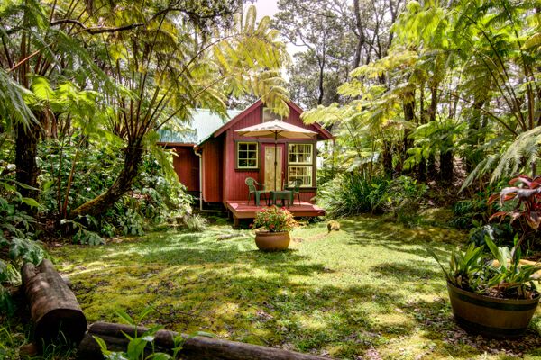 We may receive compensation when. Ferny Hollow Romantic Rainforest Cottage In Volcano Village Hawaii Volcano Vacations Vacation Rentals