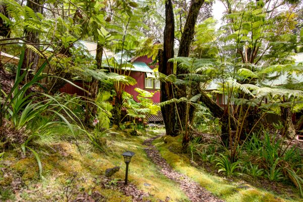It should come as no surprise that the wealthiest towns in the u.s. Ferny Hollow Romantic Rainforest Cottage In Volcano Village Hawaii Volcano Vacations Vacation Rentals