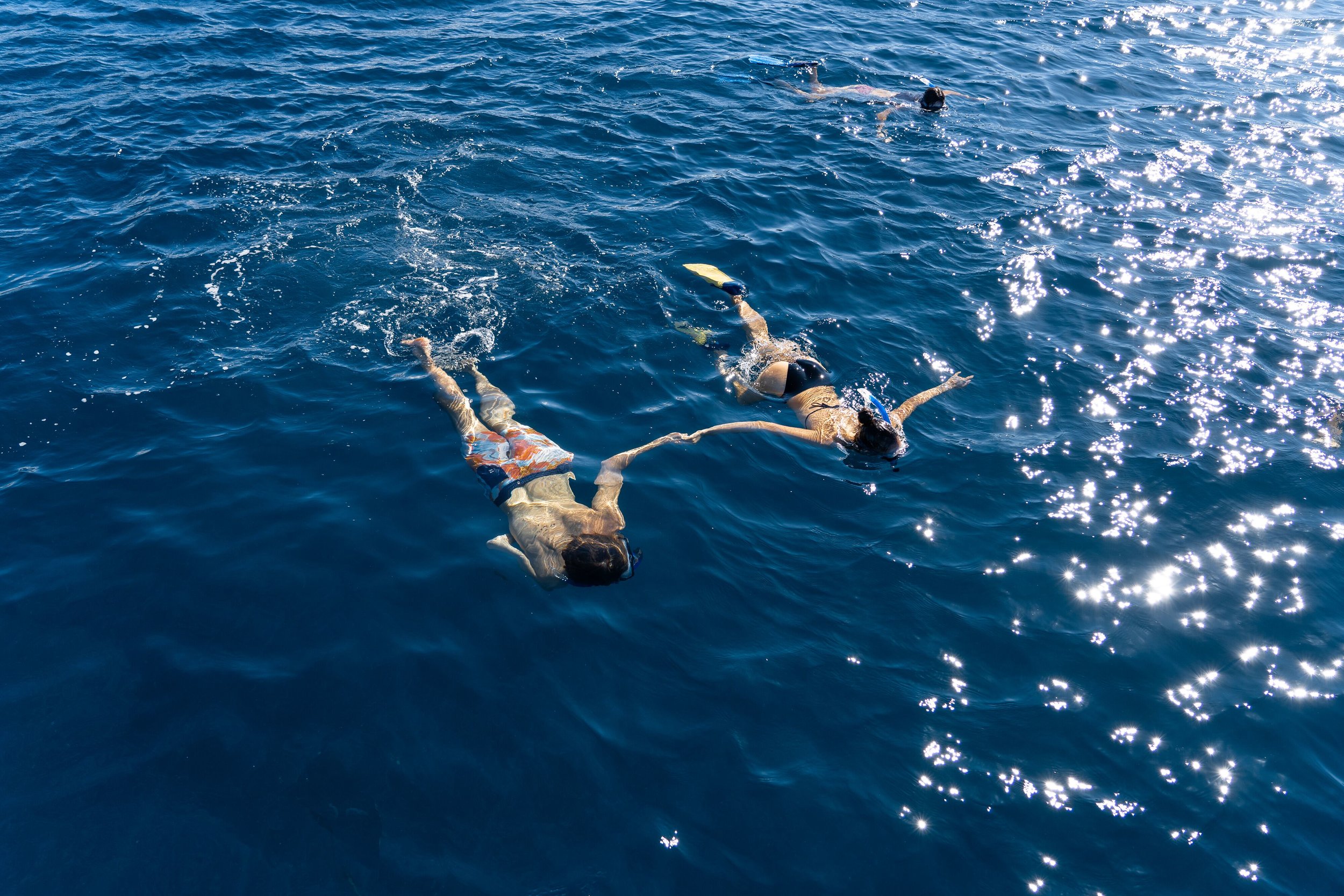 Be the first to discover secret destinations, travel hacks, and more. Hawaii Sail Charters Kona Sailing Tours Sunset Sail Snorkeling Adventures Activities Kona Sailing Tours Hawaii Sail Charters