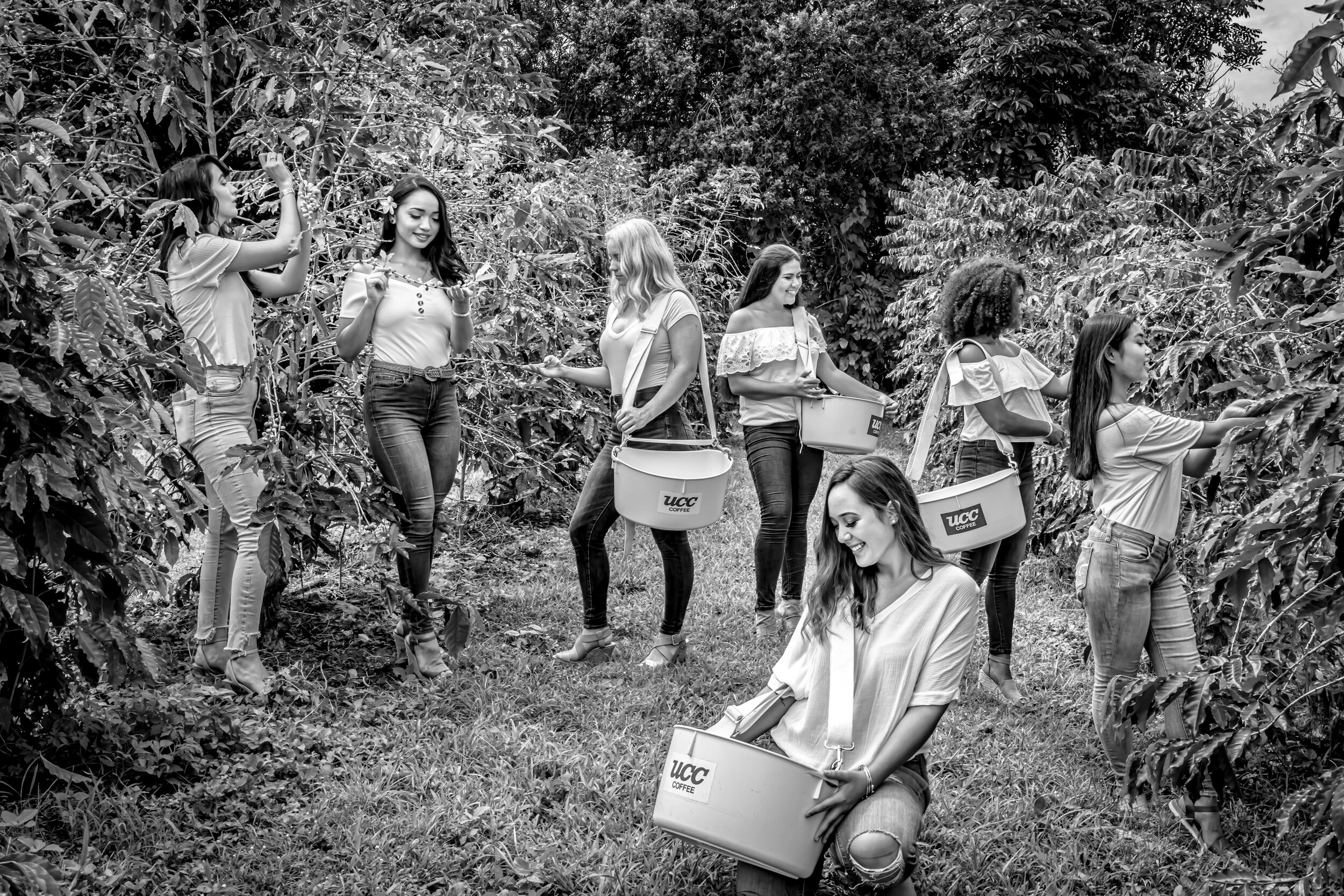Want to try growing your own vegetables and fruit but don't know where to begin? Miss Kona Coffee Contestants 2019 Emotion Galleries Professional Hawaii Photography