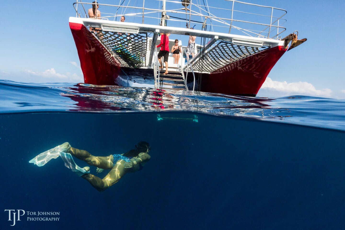Big island snorkel tours are considered by many to have the very best snorkeling in the state. Snorkeling Gallery Kona Style