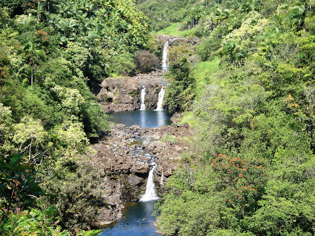 Image 20, 2022 8 spots left apr. Big Island Motorcycle Co Motorcycle Routes