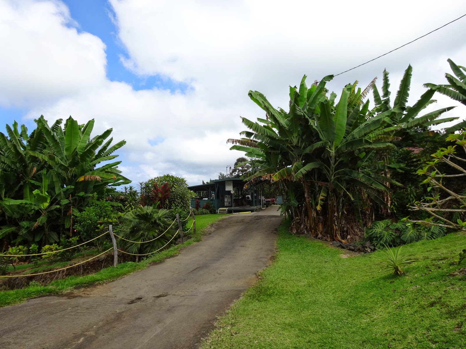 Greenwell farms coffee thrills visitors via a walking tour of the coffee fields and processing facilities, as well as the ability to see a . Goth Gourmande Greenwell Coffee Farms Kona Hawaii