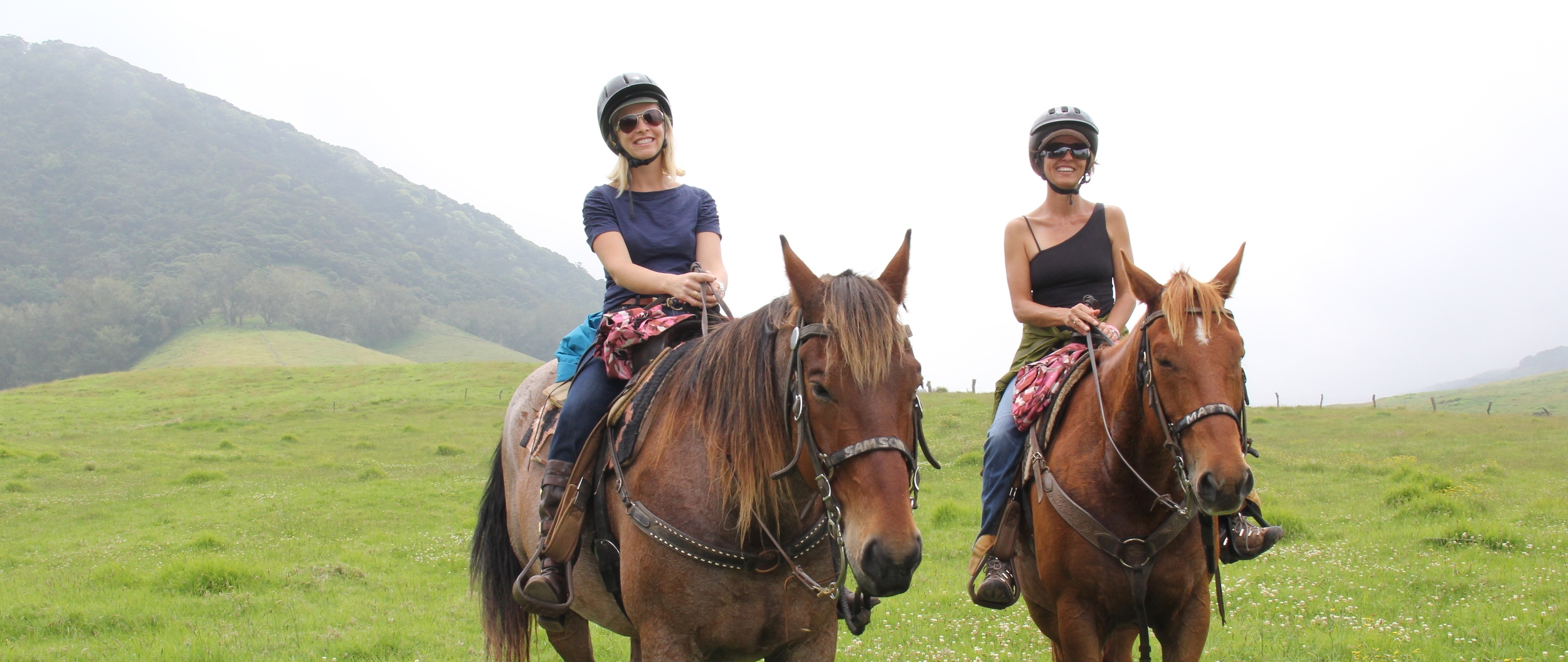 There are a few immediate questions that come to mind when one learns about christmas island for the first tim. Big Island Vacation Services