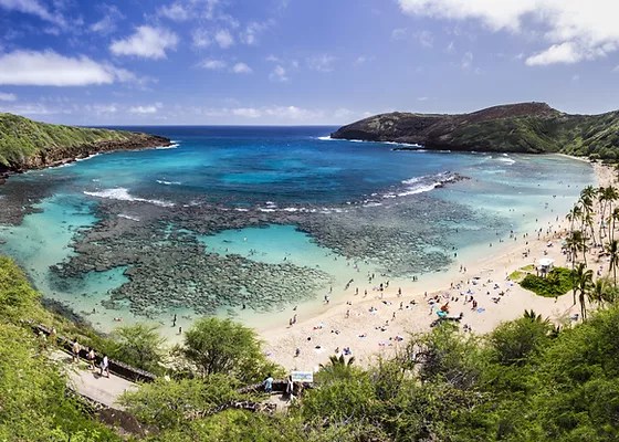 Free shipping for all u.s.a. Oso4zmtuaws1zm