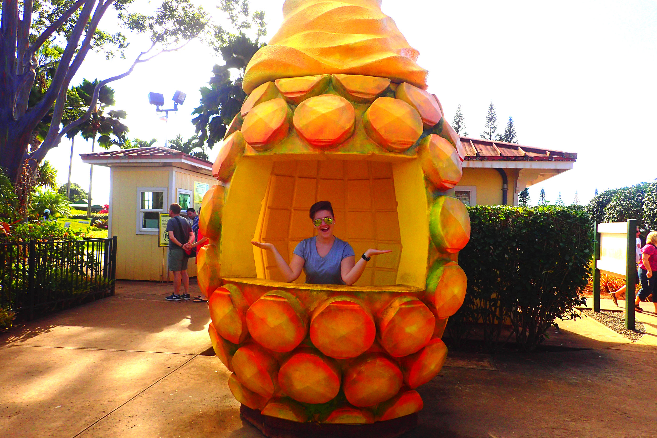 Read ahead for everything you need to know about nook miles myster. The World S Largest Pineapple Maze At Hawaii S Dole Plantation Deviating The Norm