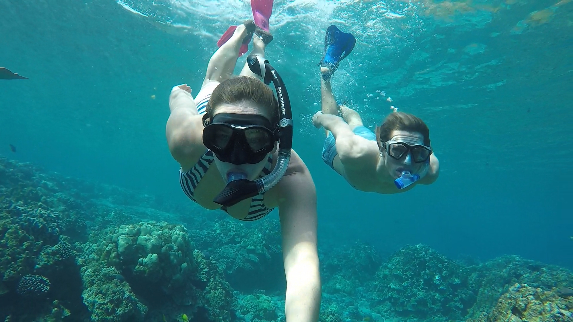The captain cook snorkeling tour is a great adventure for couples, families, friends, and groups that want to get the most out of their kona, . Hiking Snorkeling The Captain Cook Monument Against The Current