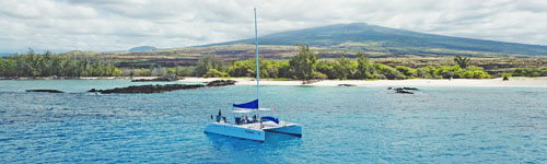 Best Private Boat Tours Big&nbsp;Island