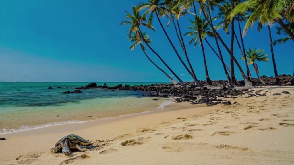Best Big Island Travel Covid Restrictions&nbsp;Package