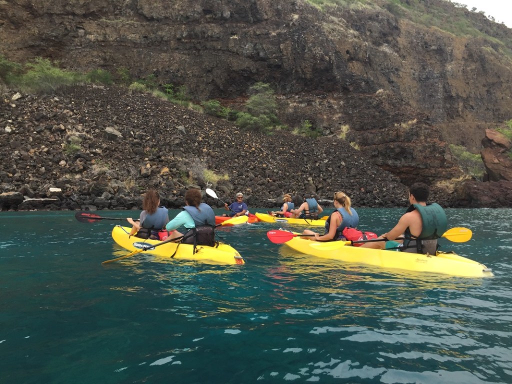 13+ Captain Cook Kayak Snorkel Tour Packages