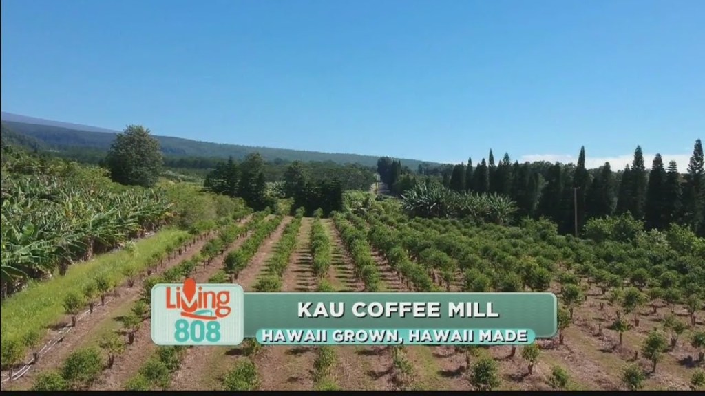 Best Tour Kona Coffee Plantation