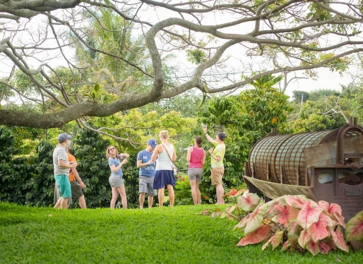 23+ Coffee Plantation Tours Near Kona