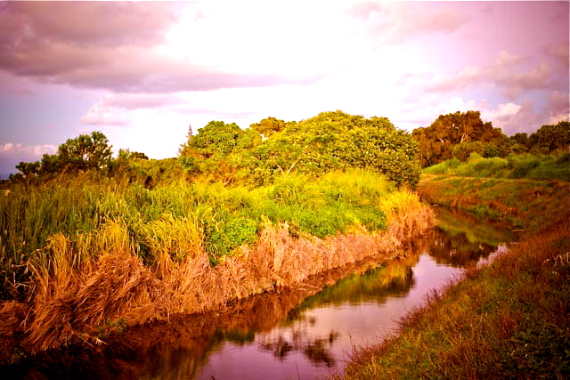 19+ Big Island Ditch Tour&nbsp;Packages