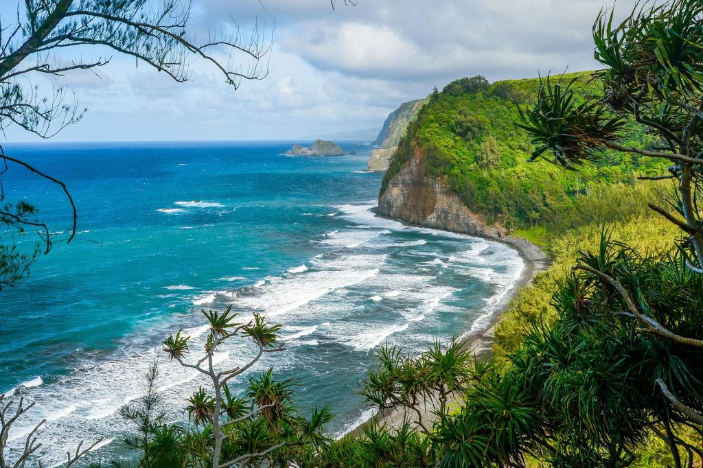 21+ Big Island Hawaii Video Tour Package