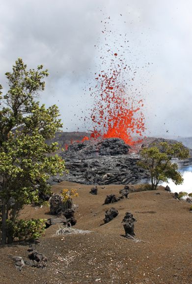 20+ Big Island Volcano Park Military&nbsp;Cabins
