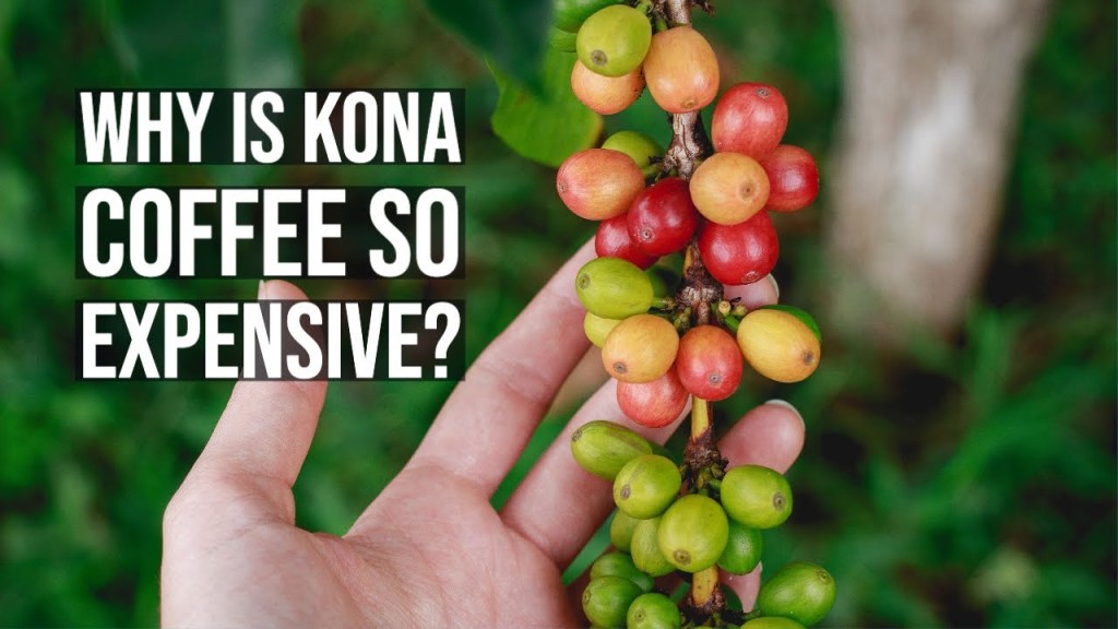 47+ Best Coffee Plantation Tour Big Island Hawaii Package