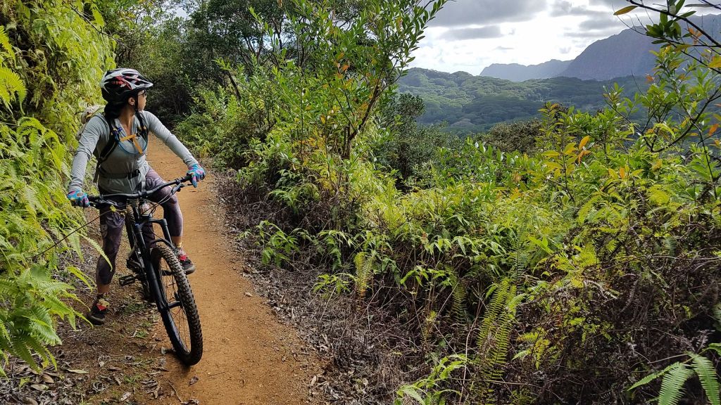 27+ Hawaii Big Island Volcano Bike Tours&nbsp;Packages
