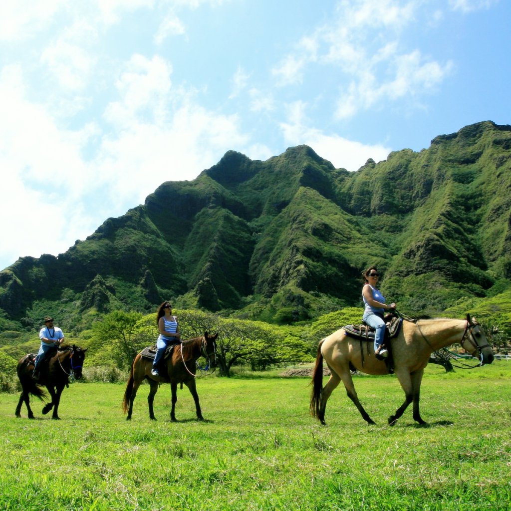 44+ Horseback Riding Tours Big Island Hawaii&nbsp;Package
