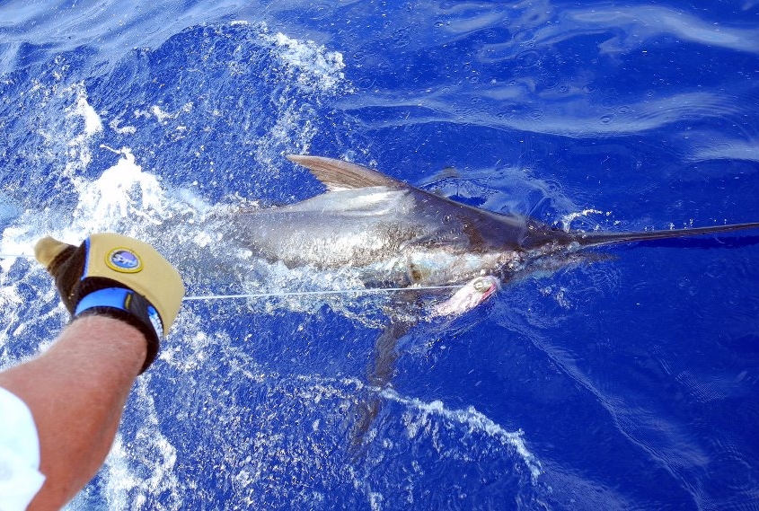 Best Fishing Tours Big Island Hawaii