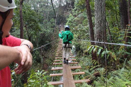 47+ Big Island Eco Adventures Ii Zipline Canopy Tour&nbsp;Package