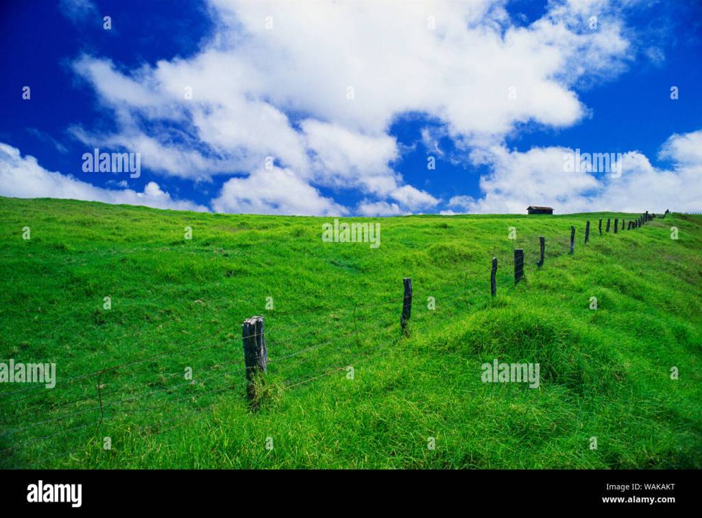 Exploring Big Island Ranch&nbsp;Tour