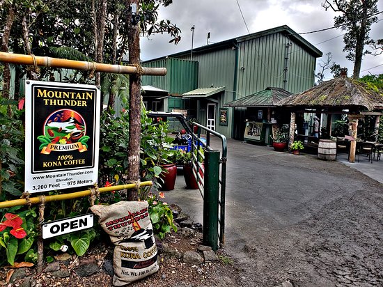 28+ Coffee Farms On Big&nbsp;Island