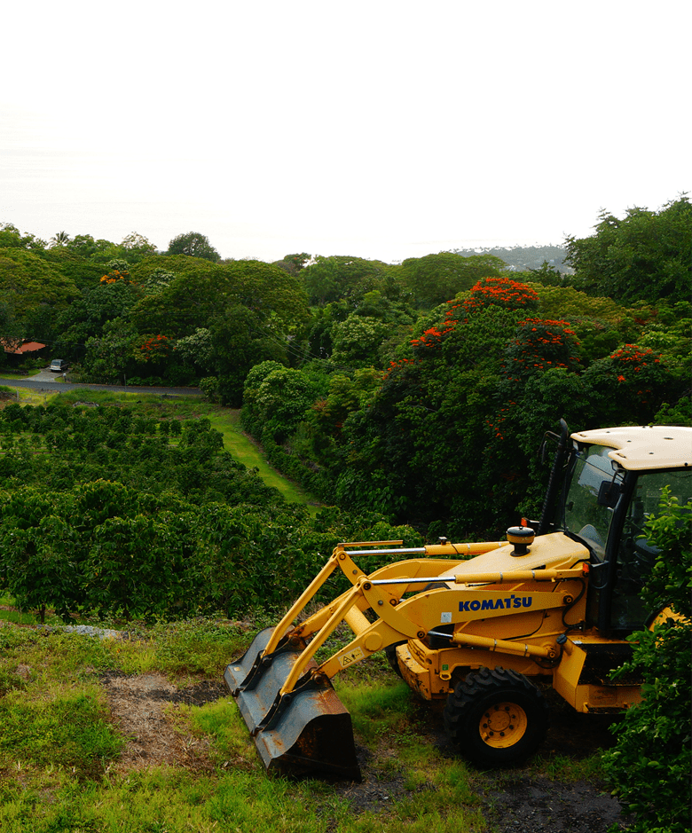 Exploring Best Coffee Farm Kona Package