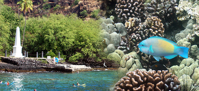 30+ Captain Cook Snorkeling Tour Big Island Package