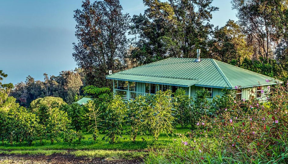 42+ Best Coffee Farm On Big Island Package