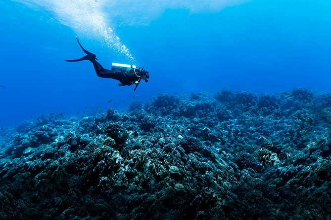 Best Big Island Adventure Diving Package