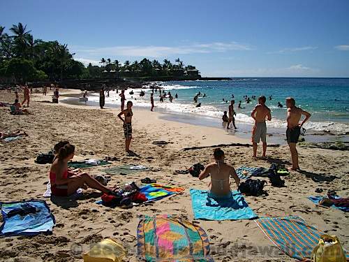 14+ Big Island Vacation Beaches Packages