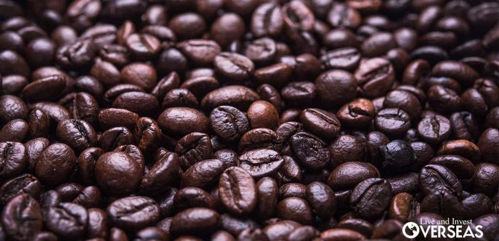 15+ Coffee Tour Near&nbsp;Kona