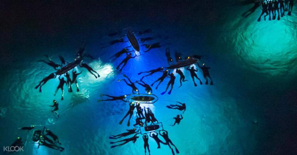 Exploring Big Island Manta Ray Snorkel&nbsp;Tour
