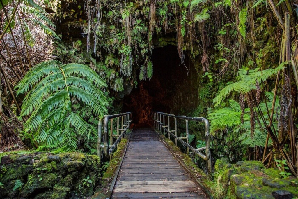 Big Island In A Day Volcanoes Waterfalls Sightseeing History&nbsp;Packages