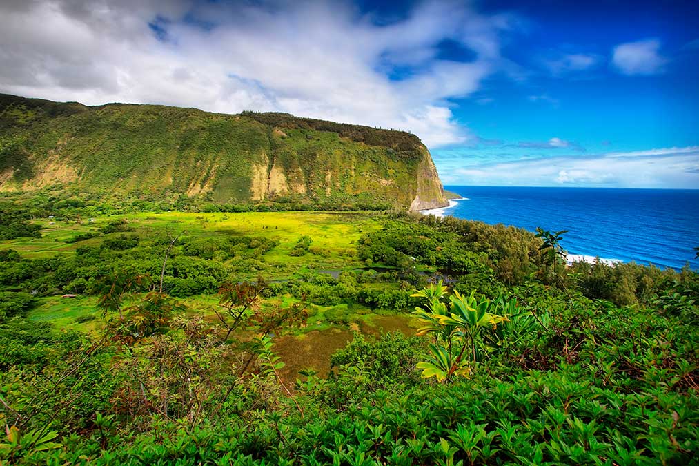 Exploring Why Visit Big Island&nbsp;Package