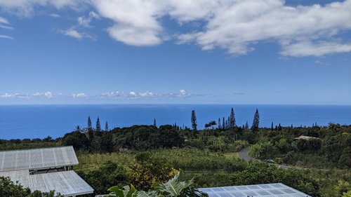 Best Heavenly Hawaiian Kona Coffee Tour Package