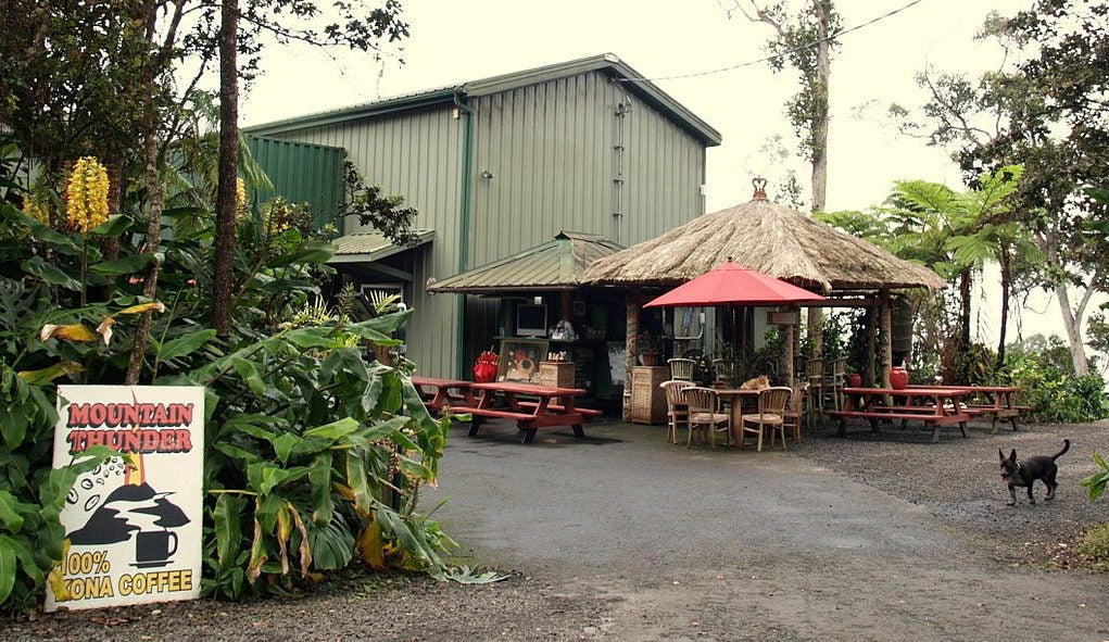 15+ Big Island Coffee Tours&nbsp;Packages