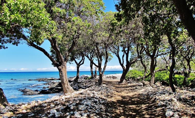Exploring Big Island&nbsp;Sites