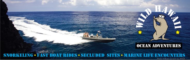 49+ Big Island Ocean&nbsp;Adventures