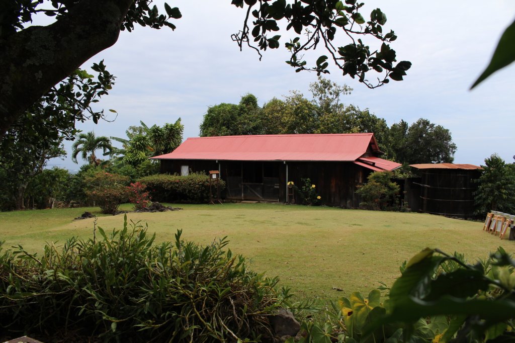 Best Kona Coffee Farms To Visit Package