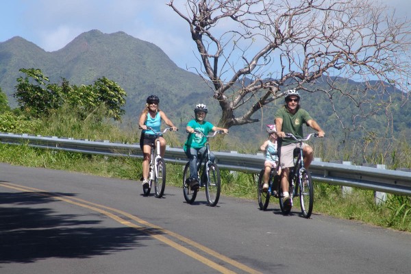 25+ Big Island Hawaii Bike Tour&nbsp;Package